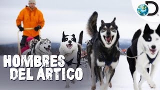 ¡La mayor competencia de trineos con perros  Hombres del Ártico l Discovery Latinoamérica [upl. by Brina]