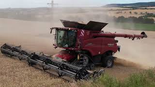 Harvest 2022 wheat  CASE IH 9250 AxialFlow  MacDon flexdraper FD140  Rostěnice as [upl. by Aeila]