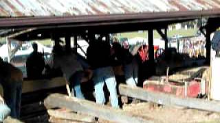 Algonquin Mill Festival saw mill 031avi [upl. by Bricker553]