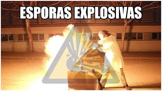 ¡ESPORAS EXPLOSIVAS  El licopodio [upl. by Sybley731]