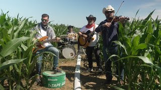 TTape Band  Lets Grow Corn [upl. by Shaum]