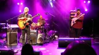 LARRY CARLTON  MR 335 PLAYS FUNKY BLUES [upl. by Yrahcaz]