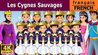 Les Cygnes Sauvages  Wild Swans in French  Histoire Pour Les Petit  Contes De Fées Français [upl. by Terces]