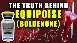 THE TRUTH BEHIND EQUIPOISE  Does Boldenone Aromatize Into Estradiol Or Act As An AI [upl. by Teiluj446]