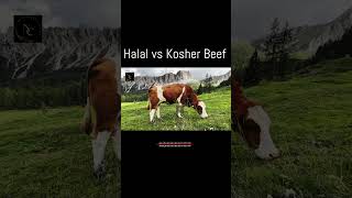 halal vs kosher beef [upl. by Edya665]