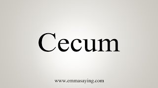 How To Say Cecum [upl. by Ayotaj]