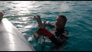 Crabbing Rock Sound Eleuthera Bahamas [upl. by Imoyik]