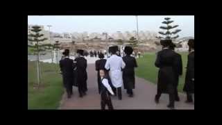 UltraOrthodox Jewish wedding in Israel Haredi Jews Haredim Orthodox Judaism [upl. by Yeclehc]