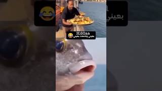 اقوى ميمز مضحك 😂 تجميع مقاطع مضحكه 🤣 فوول ونسه [upl. by Nosredna526]