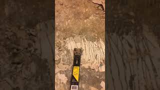 How to remove hard glue of linoleum flooring from concrete floor [upl. by Ttirb824]