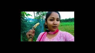 কিছু মানুষ জীবন আসে viralvideo sot foryou [upl. by Yednarb4]