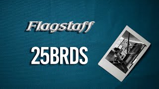 2020 Flagstaff Micro Lite 25BRDS Walk Through [upl. by Palermo]