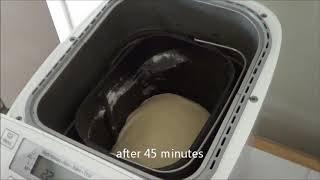 Panasonic SD2501 Breadmaker  Sweet Dough Bread Making with Recipe [upl. by Middendorf619]