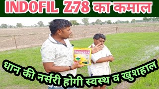 किसानों ने माना Indofil Z78 का है कमाल धान की नर्सरी होती है स्वस्थ व खुशहाल [upl. by Dnalsor]