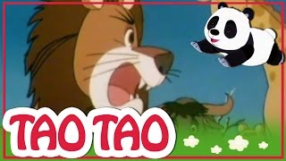 Tao Tao  episodi 22  Ruma ankanpoikanen [upl. by Orhtej]