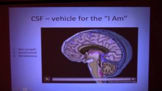 The Cerebrospinal Fluid and the Appearance of “I Am” Mauro Zappaterra [upl. by Nedyah825]