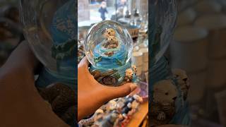 I live snow globes snow snowglobes hoilday [upl. by Elliott717]