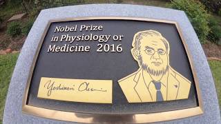 Tokyo Tech 2016 Nobel Prize monument [upl. by Shear]