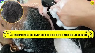 La importancia de lavar bien el pelo afro antes de un alisado de keratina [upl. by Angeline]