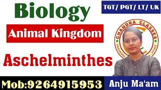 PHYLUM ASCHELMINTHES  ANIMAL KINGDOM  LTTGTPGT BIOLOGY  BY ANJU MAM [upl. by Nilesoj257]