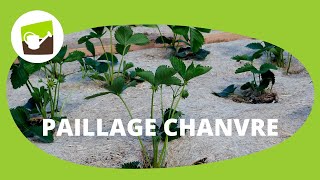 Le paillage chanvre 100 naturel en rouleau chez Jardin et Saisons cest LA solution biodégradable [upl. by Saenihp13]