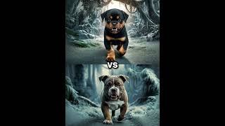 Rottweiler Puppy vs Pitbull puppy  German Shepherd Husky Doberman labrador retriever Pointer [upl. by Amandi]