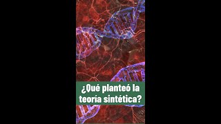 ⭐¿Qué planteó la teoría sintética shorts 📗aulamedia Historia [upl. by Fonville]