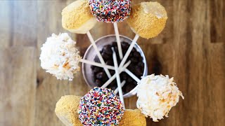 Cheesecake pops [upl. by Egas580]