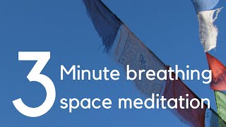 3 Minute Breathing Space Meditation  Maitreyabandhu [upl. by Jasmine945]