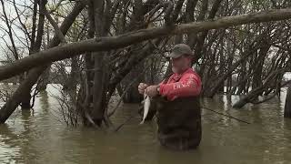 Wade Fishing for Crappie at Grenada Lake [upl. by Fantasia]