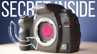 15 year old Foveon X3 camera Using the Sigma SD14 DSLR in 2022 [upl. by Ydnew]