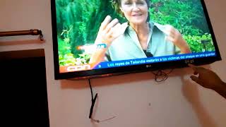 Construye tu propia antena de TV sin Cable [upl. by Assital420]