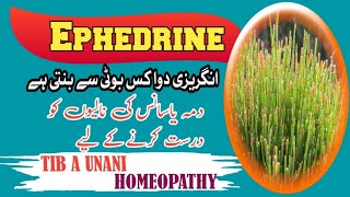 Ephedrine ephedra medicine treatment therapy som kalpa lata [upl. by Dawkins]