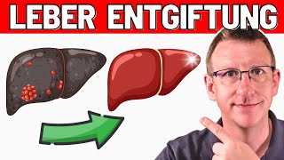 TOP 10 EntgiftungsTipps für Deine LEBER  Arzt erklärt [upl. by Anica]