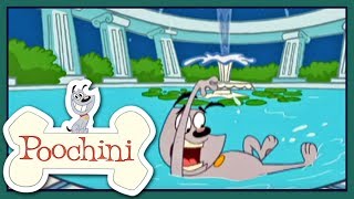 Poochini  Episode 1  Abandoned [upl. by Baptista968]