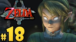 The Legend of Zelda Twilight Princess HD Gameplay Walkthrough PART 18 Dark Link amp Twilit Bloat Wii U [upl. by Enyehc]