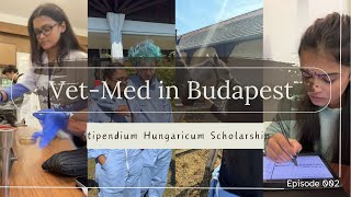 Stipendium Hungaricum  VetMed with a 100 Scholarship [upl. by Simaj]