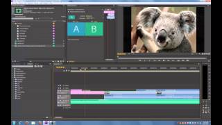 Adobe Premiere Pro CS6 Tutorial Basic Editing [upl. by Yevreh]