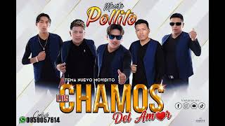 Maestro pollito y Los chamos del amor tema nuevo movidito AUDIO OFICIAL 2023 [upl. by Aizitel]