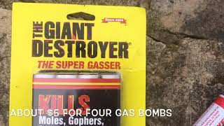 Two easy ways to get rid of moles Forget mole traps Use gas [upl. by Anasor]