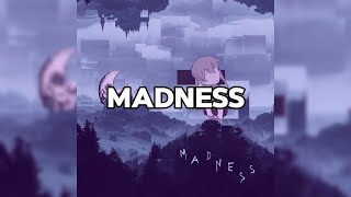 STIM  madness Official Lyric Video [upl. by Aicenet618]