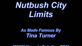 Nutbush City Limits Tina Turner [upl. by Notxap]