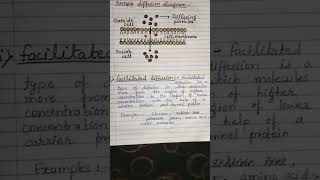 Passive amp Active transport types Simple amp facilitated diffusion [upl. by Irb]