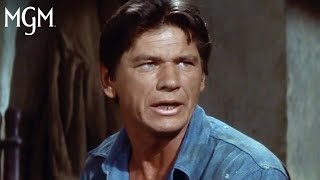 Best Of Charles Bronson  Compilation  MGM [upl. by Neenad]