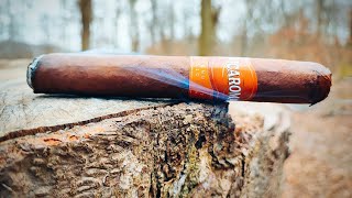 Villiger Nicaroma 6x54 Nicaragua 🇳🇮  Zigarren Review [upl. by Dranreb]