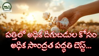 అధిక సాంద్ర పద్దతిలో పత్తి సాగు వివరాలు  Details of cotton cultivation in high concentration system [upl. by Lehcin]