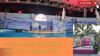 Dolphin Show  Fakieh Aquarium Jeddah KSA dolphin dolphinshow fakiehaquarium sealionshow ksa [upl. by Elnar174]