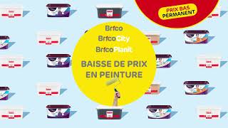 Brico  Baisse des prix de nos peintures [upl. by Leiram]