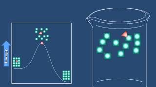 Introduction to Recrystallization [upl. by Walford]