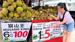 Durian Murah Musang king Durian Duri Hitam  ss2 Durian [upl. by Nrehtac]